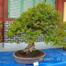 모악산주차장 이미지