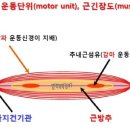 모터솔루션 이미지