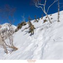 오미산오토