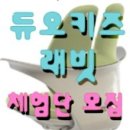 키즈래빗