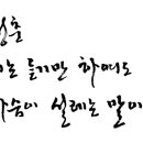 머리닷컴