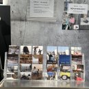 마틴 (matin) 이미지