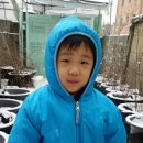 블루베리음악학원 네이버블로그