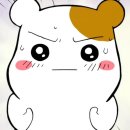 옥쓔타코 이미지