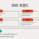 트렌드세터 | 아이돌처럼 중안부 짧아 보이는 ‘귀 필러’ 유행, 안전할까? 2025년 뷰티 트렌드 분석