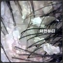 서연클린 이미지