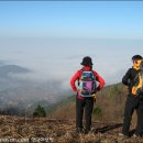 바람의노래 이미지