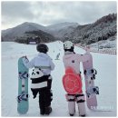 무주 기능장카서비스 | 무주리조트 스키장 렌탈샵 무주스키장 강습 숙소 숙박 패키지