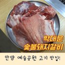 박대운 | [박대운숯불갈비] 안양 예술공원 맛집 - 생돼지갈비 제대로 즐긴 날!