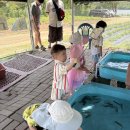 도창농장 | [경기도 시흥] 곤충, 동물 체험 - 벅스월드 (48개월, 27개월 아이와 함께) 가격, 운영시간, 후기