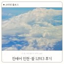 913 | 진에어 인천-괌 LJ913 기내식 항공권 가격 후기