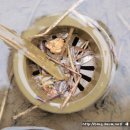 산수황토방 이미지