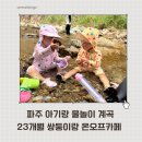 카페 서로서로 | 파주 아기랑 계곡 물놀이 23개월 쌍둥이랑 온오프카페 솔직후기