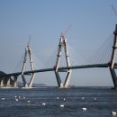 거가자동차 이미지