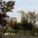 당진시 밤절로 이미지