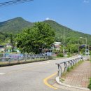 대전 갑하산(甲下山. 468.7m) 산행 이미지