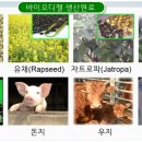 제이씨프라임 이미지