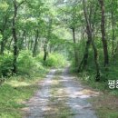 깨비유통 이미지