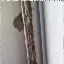 온누리건강하우스 이미지