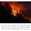 트럼프 “美 넘어오는 캐나다 산불연기에 관세 부과하겠다” 이미지