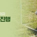 한국동물실용전문학교 이미지