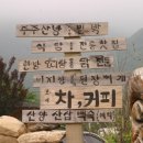 주주산방