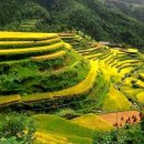 순모 Daum카페