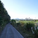 당근바다 이미지