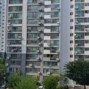 덕일체육관 이미지