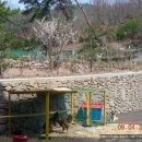 동백어린이집 이미지