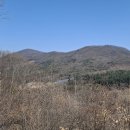 새별태양광발전소 이미지