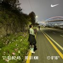 스타클라우드 | [런린이 러닝화후기]온러닝 클라우드몬스터1 착화&amp; 사이즈팁