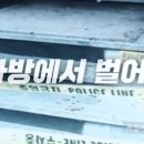 백합다방 이미지