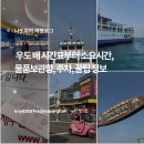 무진장여객 | 우도 배 시간표부터 소요시간, 물품보관함, 주차, 꿀팁 정보 다 알려줌!
