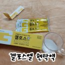 엘약국 | 겔포스엘과 겔포스엠 차이점, 약국 가격 및 올바른 복용법 효과