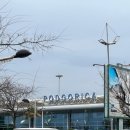 1088 | 포드고리차 공항 터키항공 TK1088,TK090 경유 기내식 podgorica