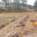 밤잣골천 이미지