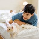 더원고양이동물병원 이미지