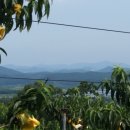 덕진농장 이미지