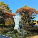 수림공원