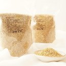 관악시니어클럽 이미지