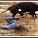 로대오 이미지