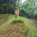 태양농원 이미지