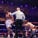 월드복싱 이미지