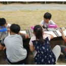 화포천마을 이미지