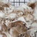 수원-0344 이미지