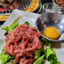 마포갈매기 이미지
