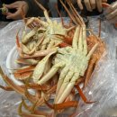 초전농산물도매시장1(좌측) | 대구 매천수산시장ㅣ매천수산10번 대게,홍게 솔직후기