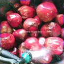 장수생즙건강원 이미지