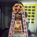 용인대 비룡 태권도장 이미지